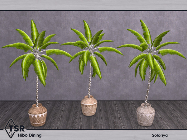 Sims 4 — Hibo Dining. Palm by soloriya — Palm in a pot. Part of Hibo Dining set. 3 color variations. Category: Decorative