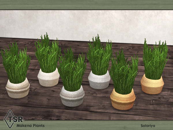 Sims 4 — Makena Plants. Plant A by soloriya — Plant. Part of Makena Plants set. 6 color variations. Category: Decorative