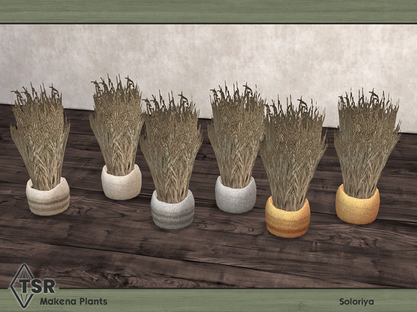 Sims 4 — Makena Plants. Plant B by soloriya — Plant. Part of Makena Plants set. 6 color variations. Category: Decorative