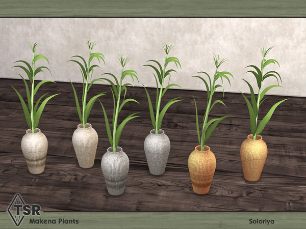 Sims 4 — Makena Plants. Plant D by soloriya — Plant. Part of Makena Plants set. 6 color variations. Category: Decorative
