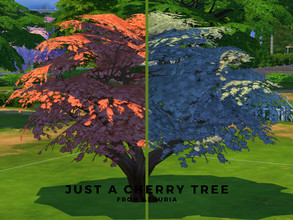 Sims 4 — Cherry Tree by Ashuria — This base game Cherry Tree comes with 8 new swatches. Please do not reupload or claim