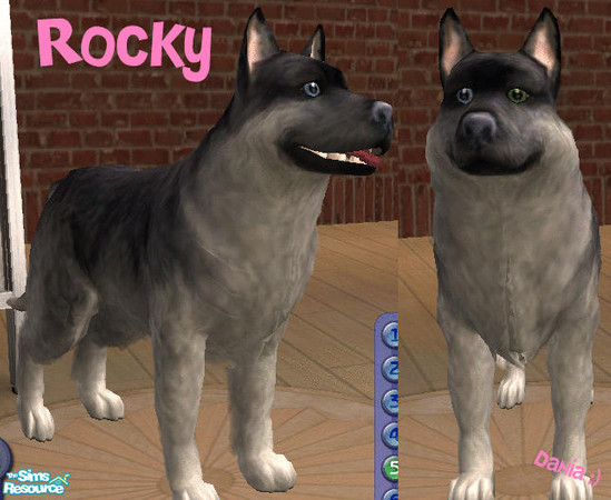 Sims 2 — Rocky by Dania:) — 