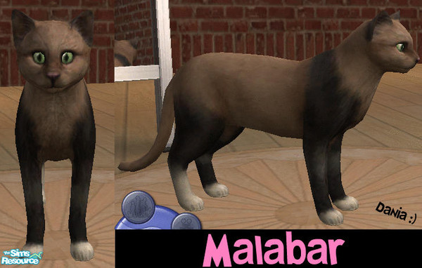 Sims 2 — Malabar by Dania:) — 