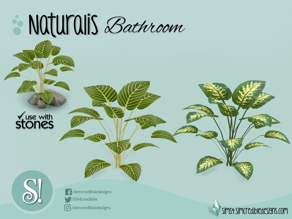 Sims 4 — Naturalis plant shrub by SIMcredible! — by SIMcredibledesigns.com available at TSR 2 colors variations