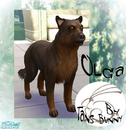 Sims 2 — Olga by tansbunny — 