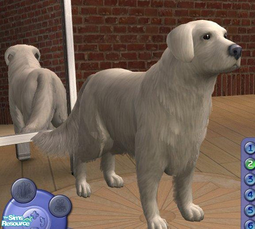Sims 2 — Great Pyrenees by Songe — A great pyrenees based on the breed standard