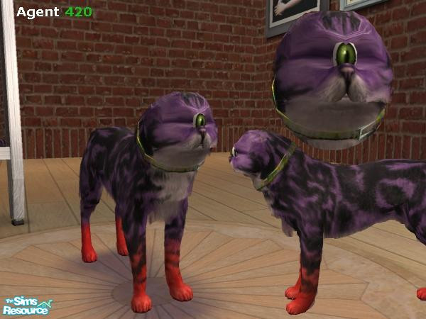 Sims 2 — Kitty Catclops by Agent420 — This is an alien cyclops cat crossed with a human-cat hybrid. This cat's ears were