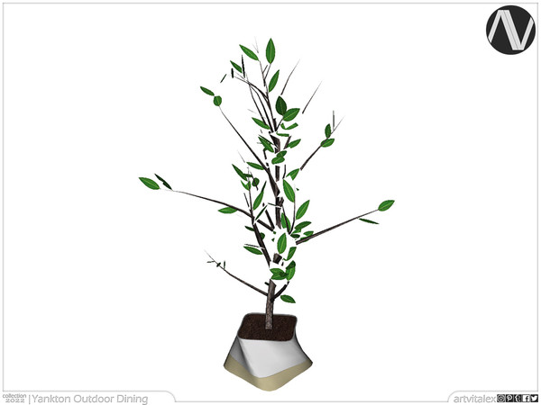 Sims 4 — Yankton Plant by ArtVitalex — Outdoor And Garden Collection | All rights reserved | Belong to 2022