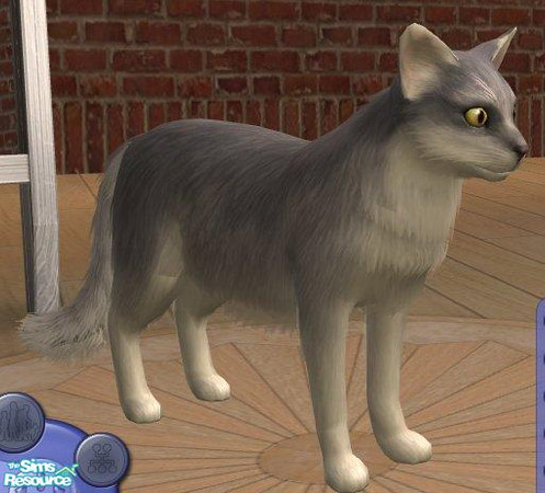 Sims 2 — Silver Somali by Songe — A better version of the Somali, in silver.