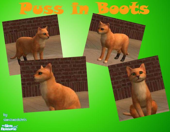 Sims 2 — Puss in Boots by simnamedchris — The legendary, frightening creature... Puss in Boots! Sword and Hat not