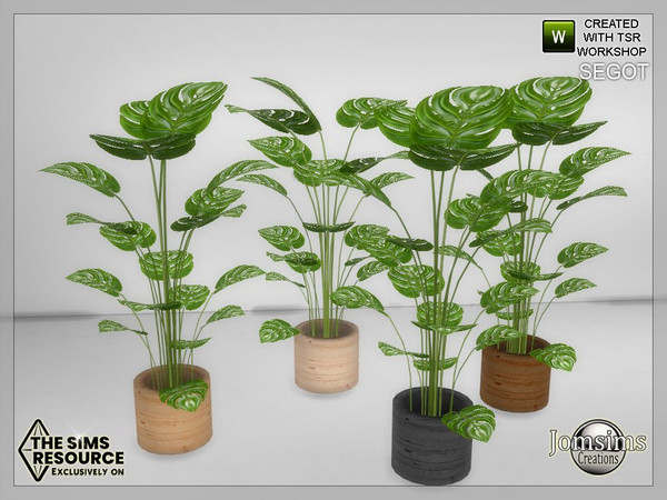 Sims 4 — Segot living room plant by jomsims — Segot living room plant