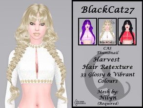 Sims 4 — Nilyn Harvest Hair Retexture (MESH NEEDED) by BlackCat27 — A casual, double braided hairstyle, mesh by Nilyn. 33