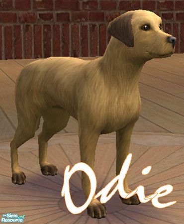 Sims 2 — Odie by tansbunny — Garfields dogy buddy Odie is a dumb puppy