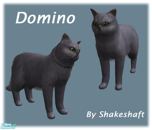 Sims 2 — Domino by Shakeshaft — A cute and friendly cat!! Enjoy.