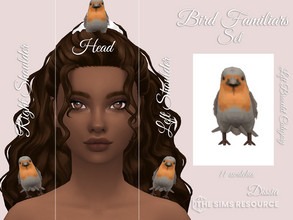 Sims 4 — Bird Familiar Set by Dissia — A set of bird familiars, which can sit on your sim head, or left/right arm :)