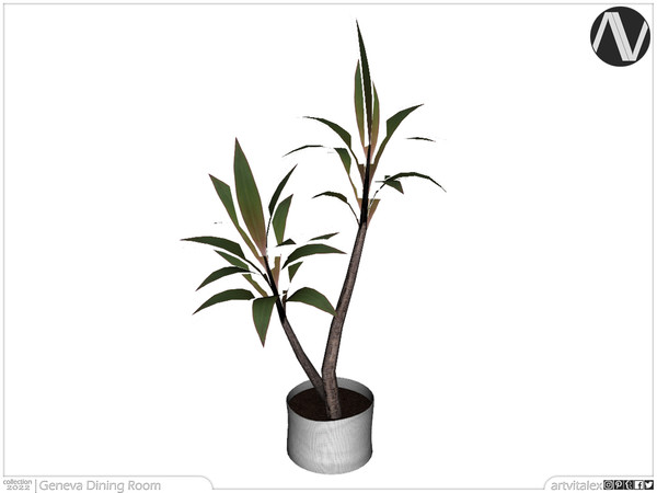 Sims 4 — Geneva Plant by ArtVitalex — Dining Room Collection | All rights reserved | Belong to 2022 ArtVitalex@TSR -