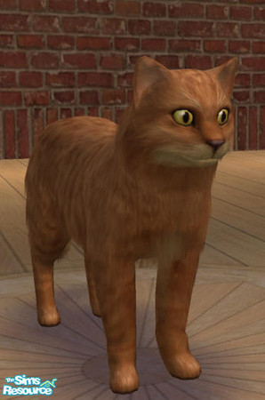Sims 2 — Tom Cat by phoenixsapphire — Based on my cat Harry. Enjoy.