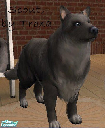 Sims 2 — Scout by Troxa — This is Scout, father of Chance. While playful and loyal with humans, he is very protective of