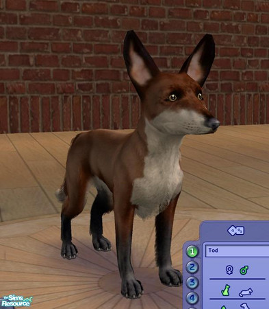 Sims 2 — Red Fox by Bryna — My very first submission! I hope you enjoy my red fox.