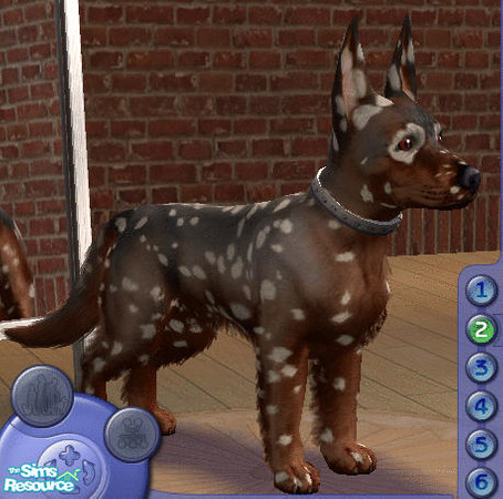 Sims 2 — jasper by sanctuaryuk — I hope you like him he's not a specific breed just thought he was cute. enjoy