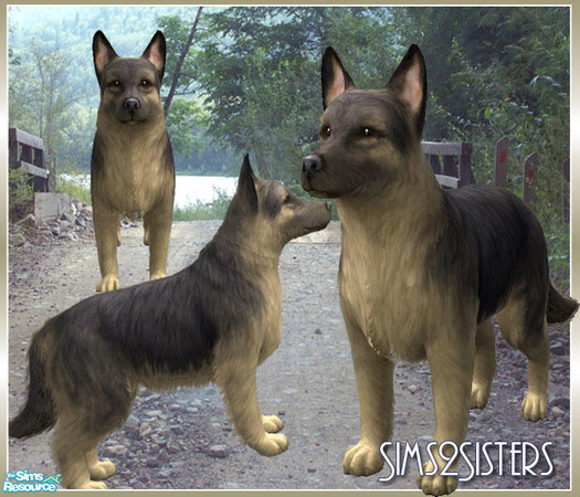 Sims 2 — German Shepherd Dog - Grey by sims2sisters — 