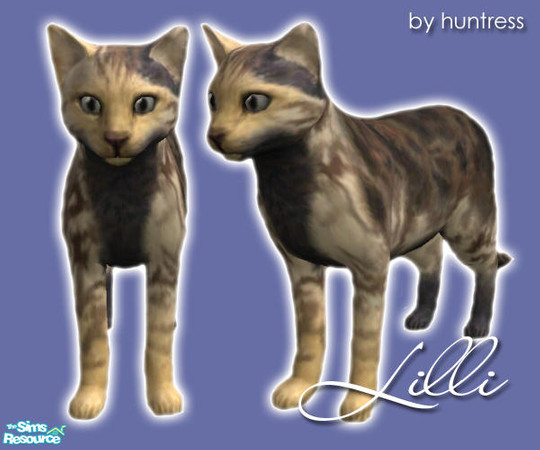 Sims 2 — Lilli the Cat by huntress2005 — Lilli the Cat