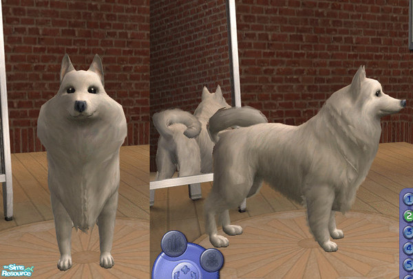 Sims 2 — Spitz by teufelsmienchen — 