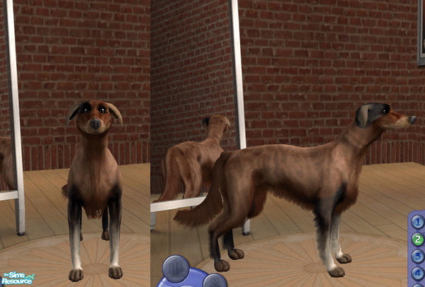 Sims 2 — Speedy by teufelsmienchen — 