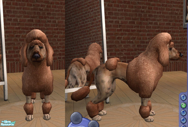 Sims 2 — crazy by teufelsmienchen — 