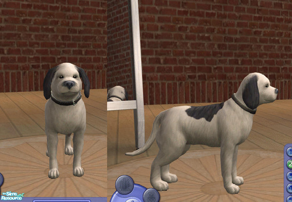 Sims 2 — snoopy by teufelsmienchen — 