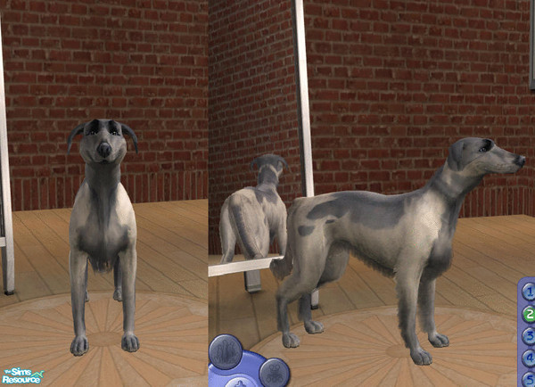 Sims 2 — Snow by teufelsmienchen — 