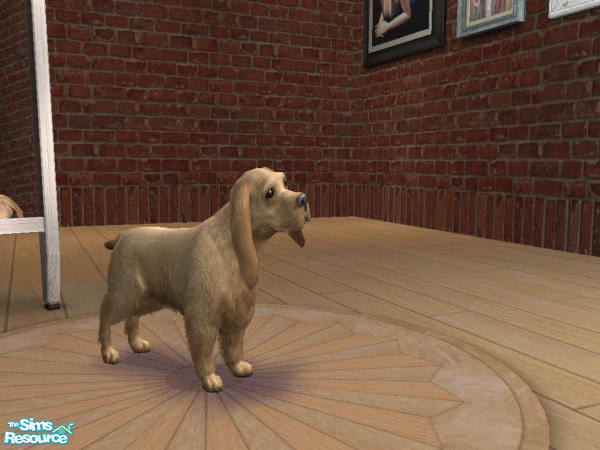 Sims 2 — Cocker Spaniel Tawny by LinLark — Here is another interpretation of a Cocker Spaniel in a light creamy color