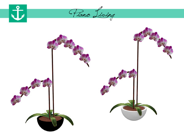 Sims 4 — Piano Living - Orchid by zarkus — Piano Living - Orchid 2 colors