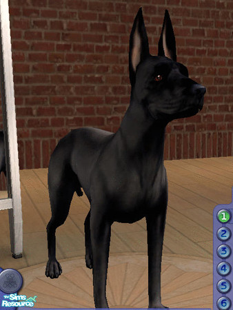 Sims 2 — Black Anubis by amish004 — Made to look like the depictions of the ancient egyptians the Black Anubis is my
