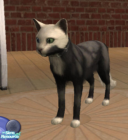 Sims 2 — Skunkcat by amish004 — Based loosely on the Pepe Le Pew cartoons, this cat is perfect for the more exotic sims.