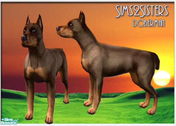 Sims 2 — S2S Doberman Brown by sims2sisters — 