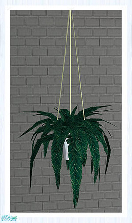 Sims 2 — Sanita Hanging Fern by simtomatic — 
