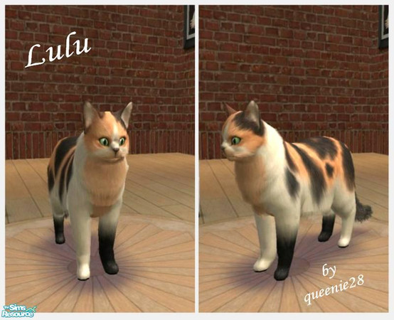 Sims 2 — Lulu by queenie28 — Cute Ragdoll breed. Enjoy!