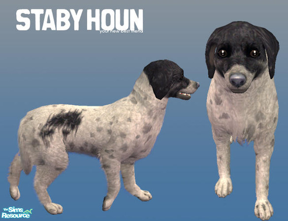 Sims 2 — Staby Houn by Ninika — The original name of the Staby Houn is Friese Stabij. The Staby Hound is a Dutch/Frisian