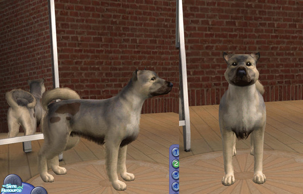 Sims 2 — Polly by teufelsmienchen — 