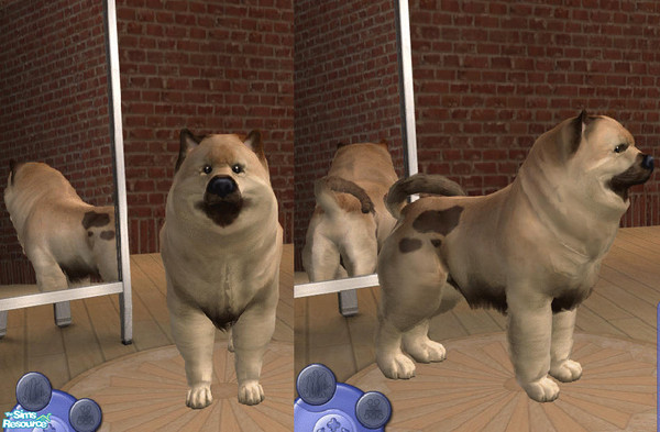 Sims 2 — Sira by teufelsmienchen — 