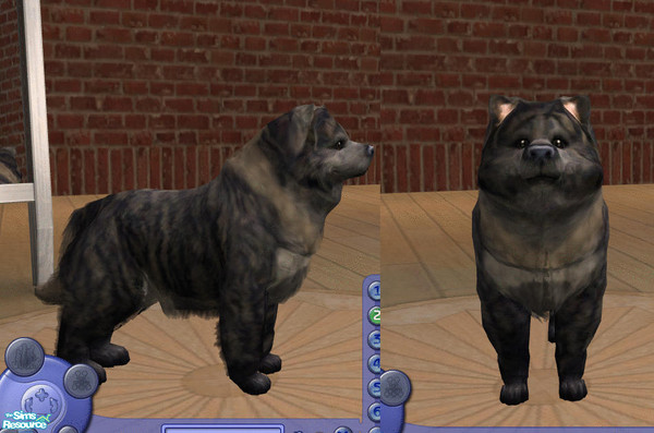 Sims 2 — Teddy by teufelsmienchen — 