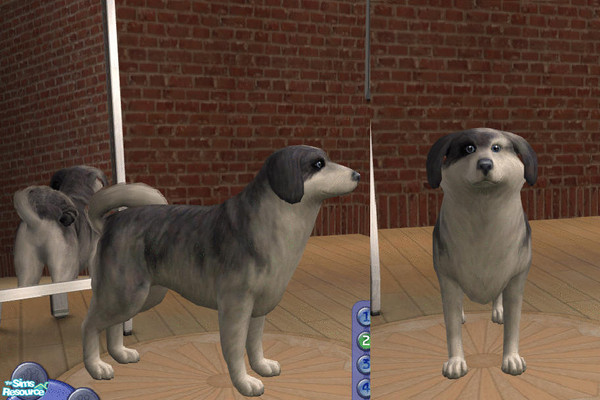 Sims 2 — Rumli by teufelsmienchen — 