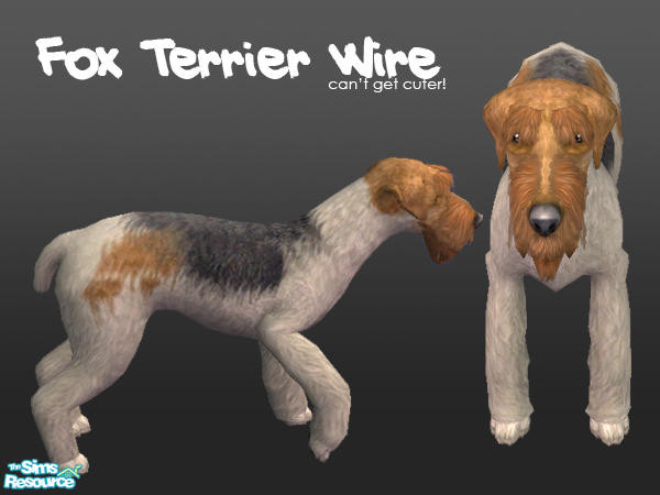 Sims 2 —  by Ninika — 