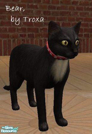 Sims 2 — Bear by Troxa — This is my cat, Bear. He's quite independant but still loveable. He is Polars big brother. I