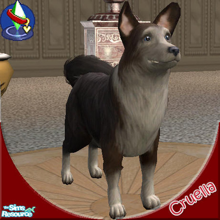 Sims 2 — Corgi2 by Cruella — Corgi breed, black,brown and white, small dog.