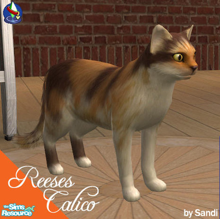 Sims 2 — Calico - Reeses by Sandi3d1 — A pretty variation of a Calico kitty that will remind you of Reese Peanutbutter