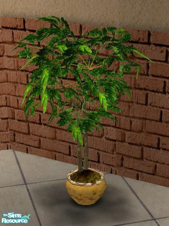 Sims 2 — pottedPlant,  match with patioSet soleil by wondernounou — Before winter, give sun to your sims with a yellow