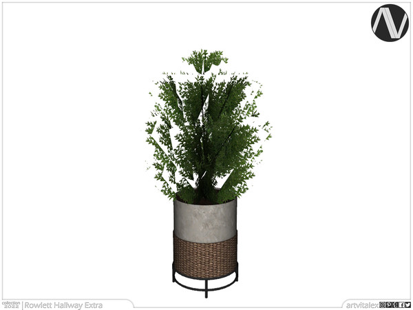 Sims 4 — Rowlett Big Plant by ArtVitalex — Hallway Collection | All rights reserved | Belong to 2022 ArtVitalex@TSR -