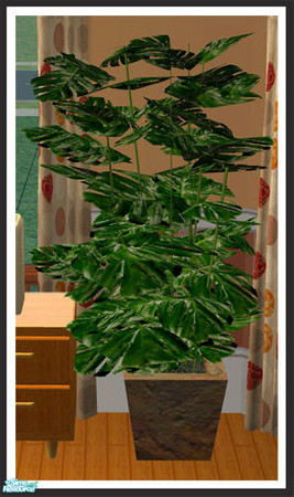 Sims 2 — Swiss Cheese Plant by simtomatic — 